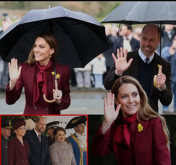 Screenshot_20260304-132259~2