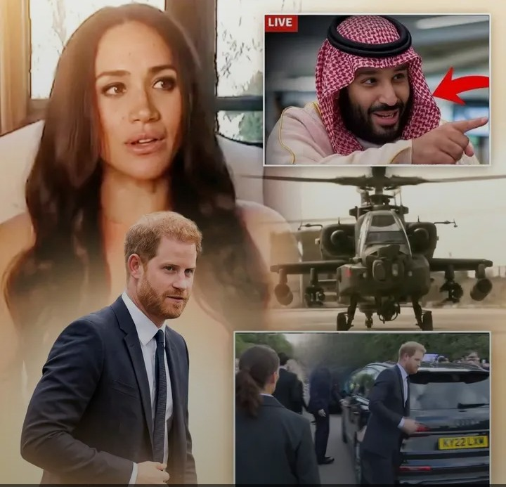 Screenshot_20260305-141416~2