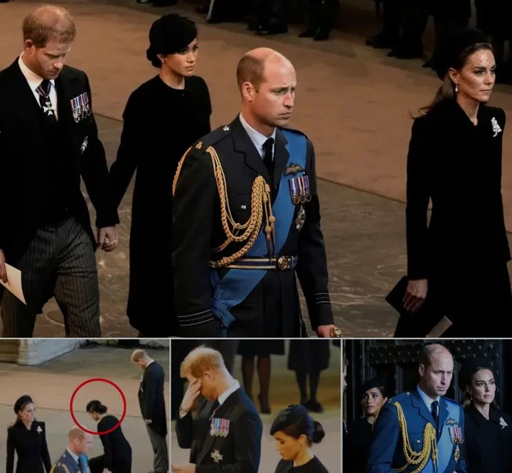 Screenshot_20260305-141906~2