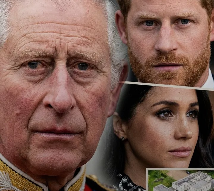 Screenshot_20260305-194747~2