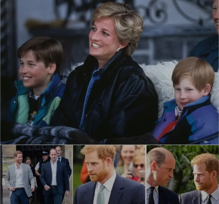 Screenshot_20260317-070957~2