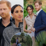 image_editor_output_image-1134656534-1774385487305