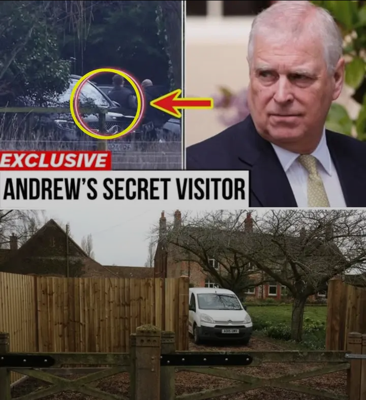 image_editor_output_image-1495072551-1774679316743