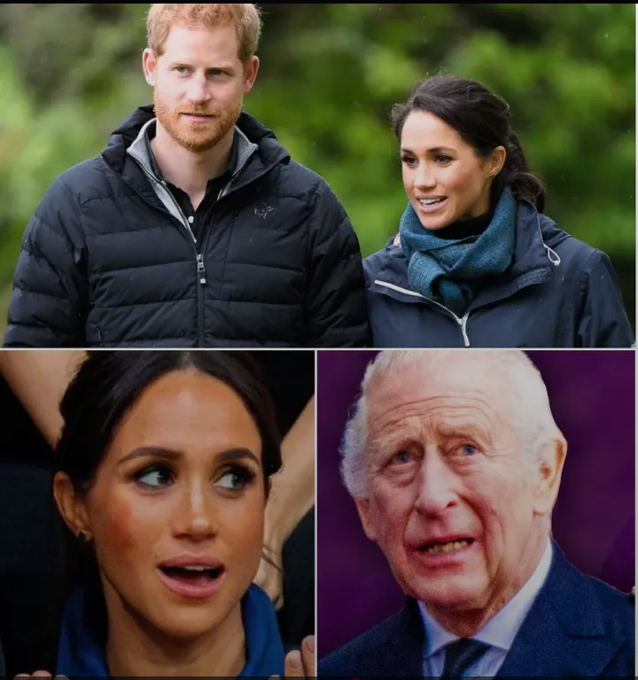 image_editor_output_image-1575405523-1774677801336