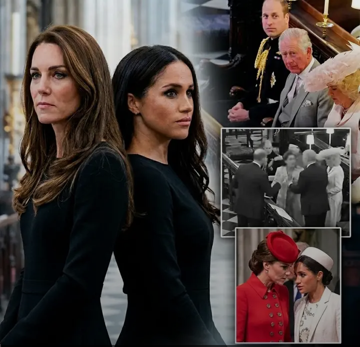 image_editor_output_image-1590415116-1774957670177