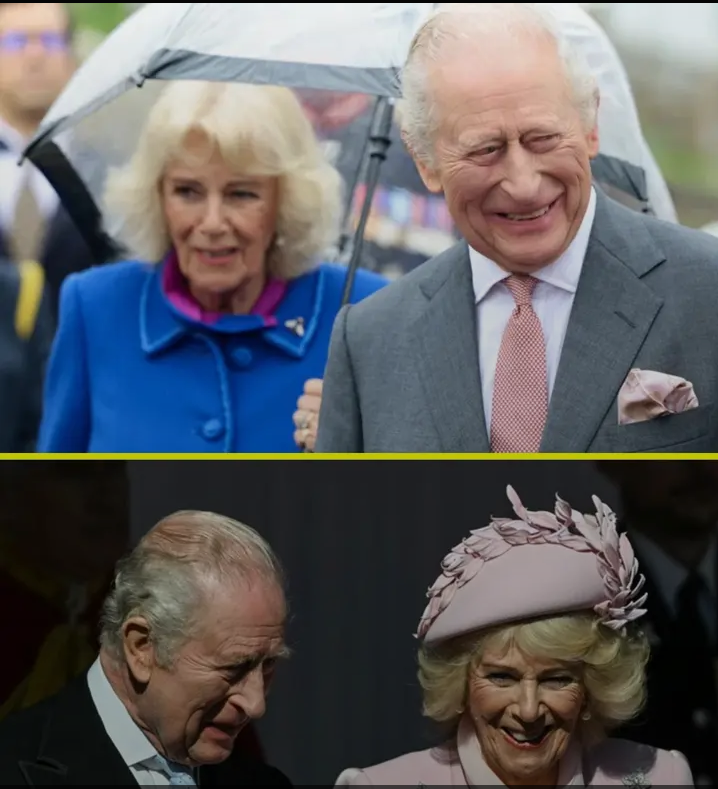 image_editor_output_image-1688445433-1774984871639