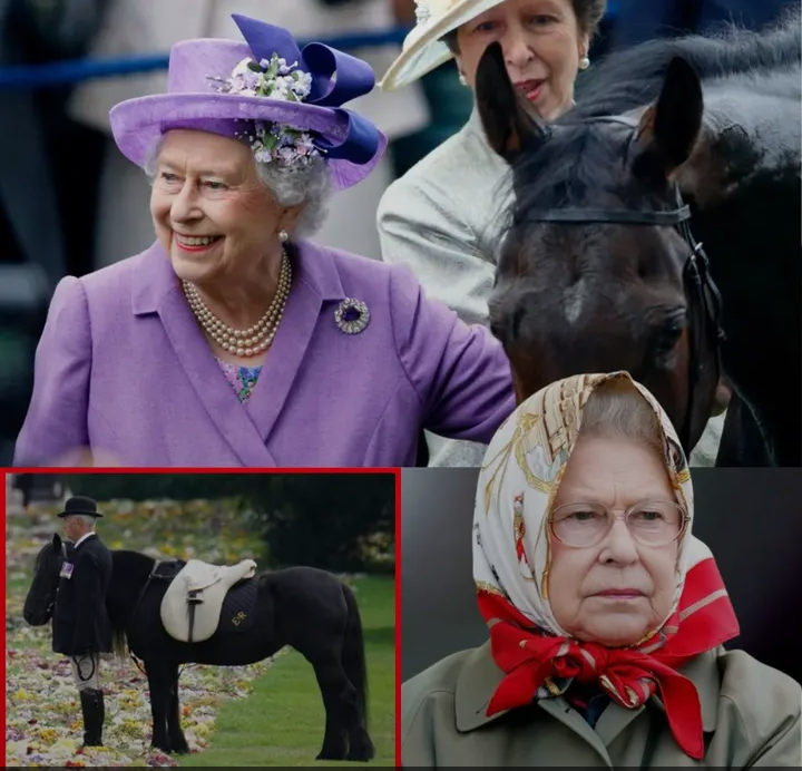 image_editor_output_image-1701072367-1774008161232