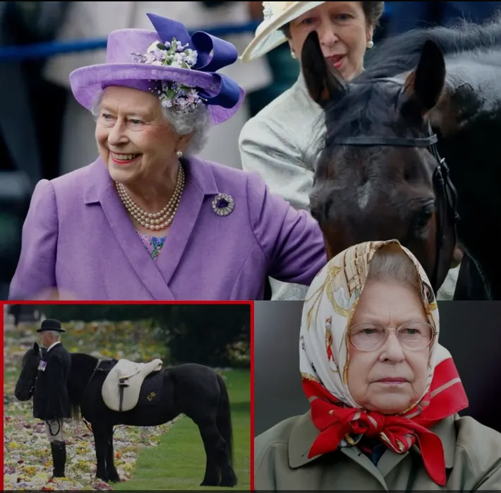 image_editor_output_image-1701072367-1774008217092