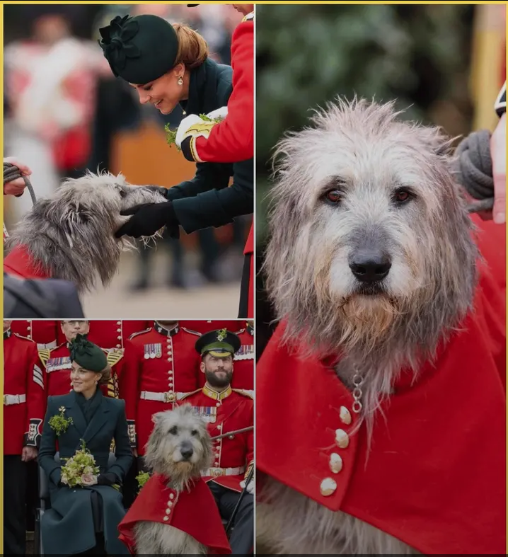 image_editor_output_image-1904022506-1774084154449