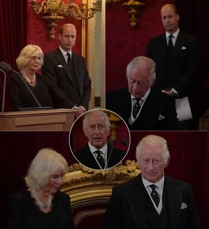 image_editor_output_image-249601554-1774514011407