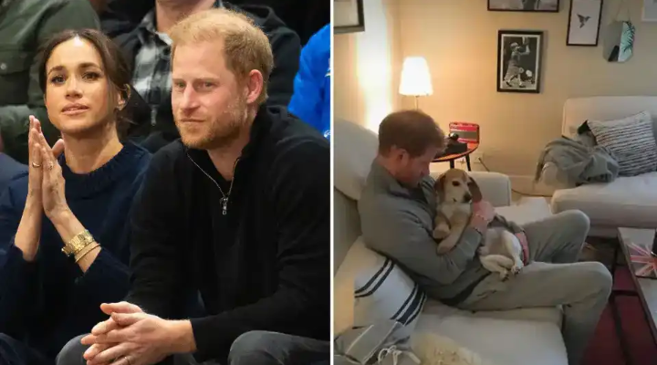 image_editor_output_image-995996375-1774470660862