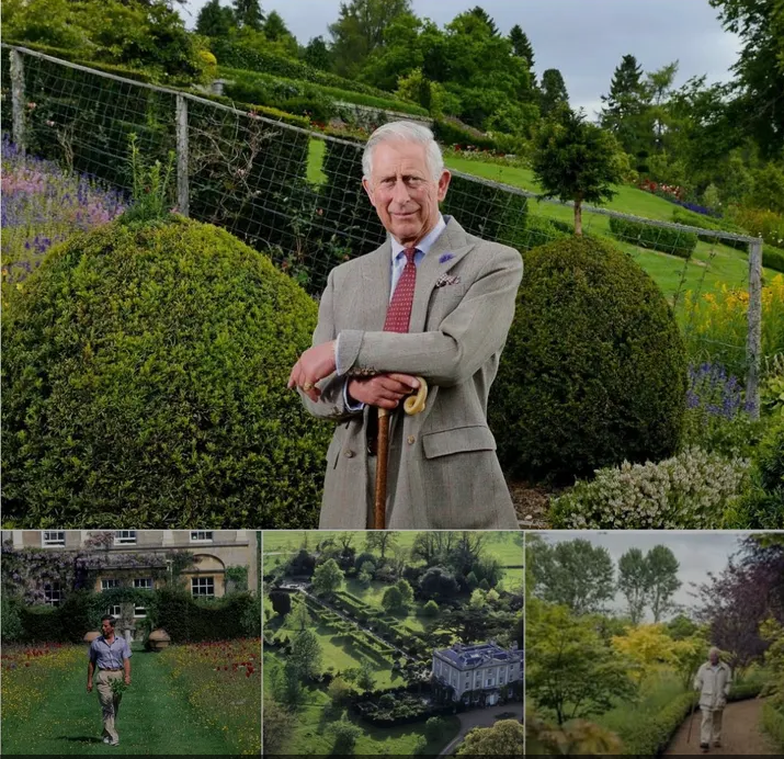 image_editor_output_image107460219-1774082834928