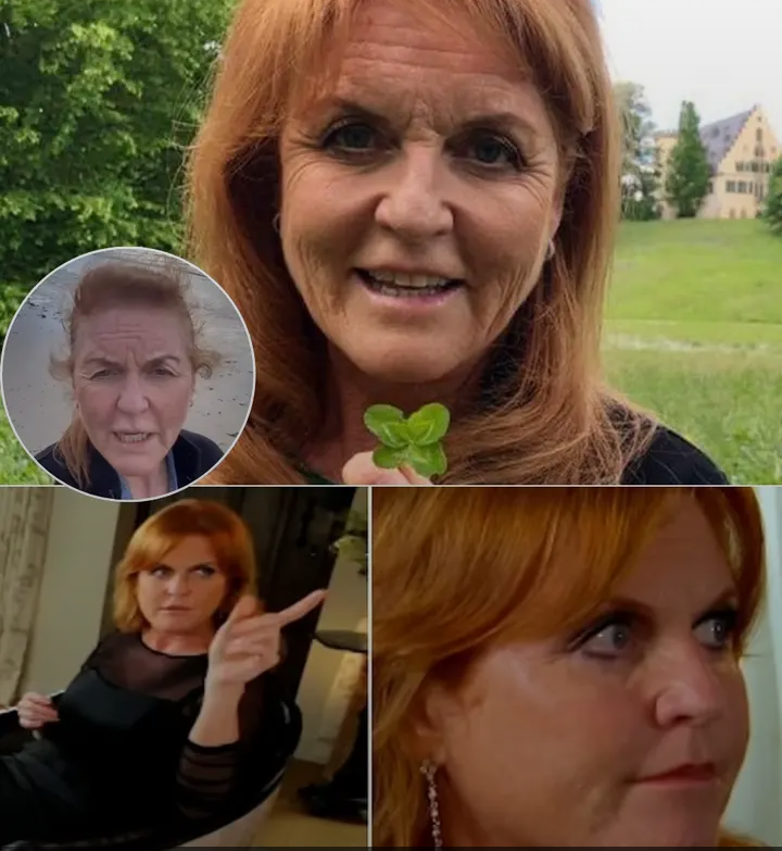 image_editor_output_image1211441853-1774858489311