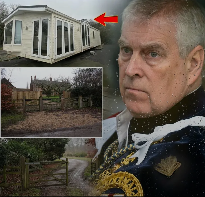 image_editor_output_image1312079062-1774883656674