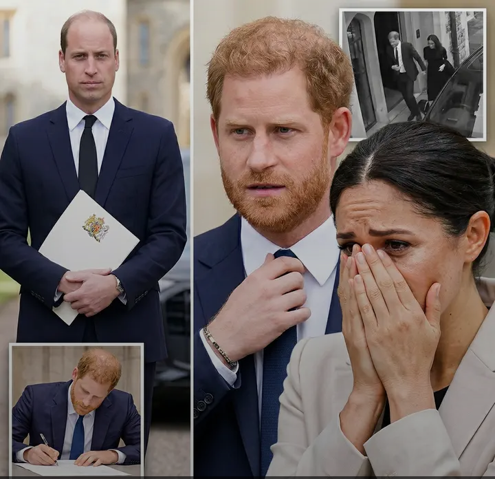 image_editor_output_image1312153080-1774096196126