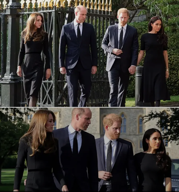 image_editor_output_image1372654263-1773818945674