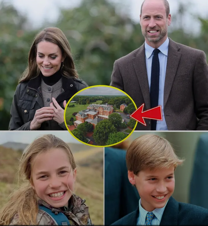 image_editor_output_image1608412105-1774626151898