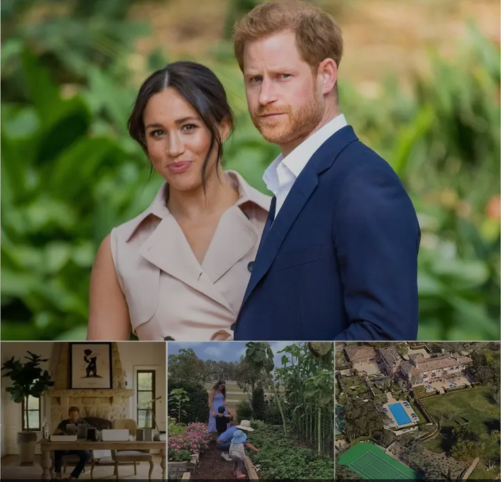 image_editor_output_image1642311338-1774443202126