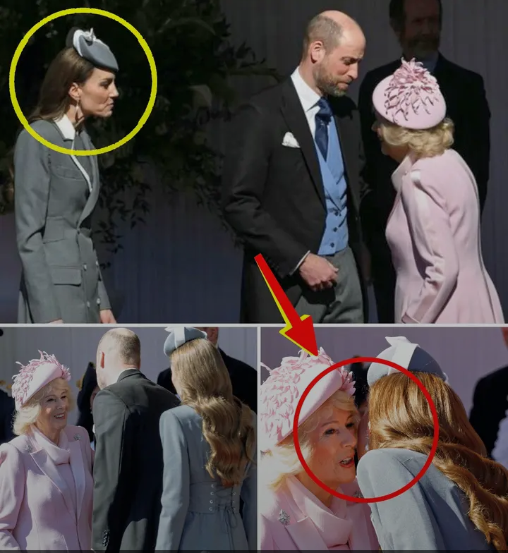 image_editor_output_image1645191130-1774015440895