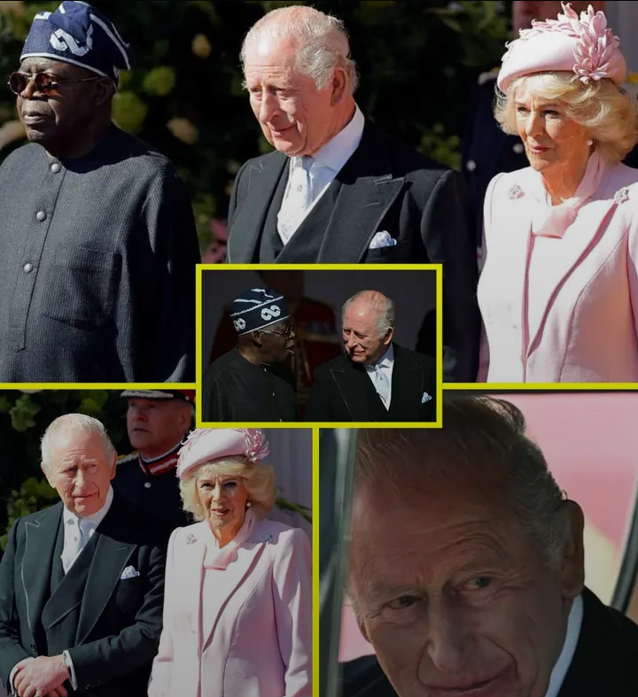 image_editor_output_image219169195-1774014912072