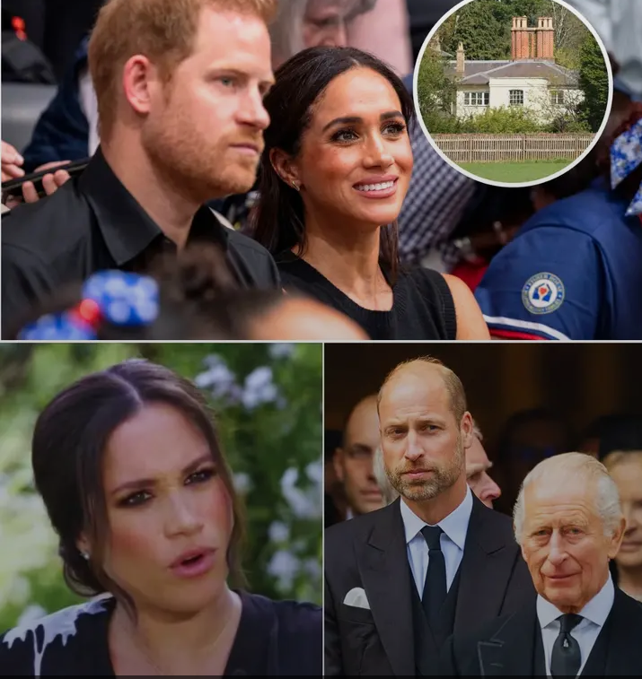 image_editor_output_image25976501-1774346864650