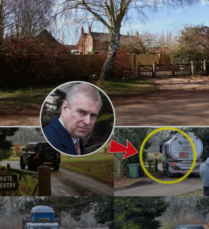 image_editor_output_image51107001-1774196786703