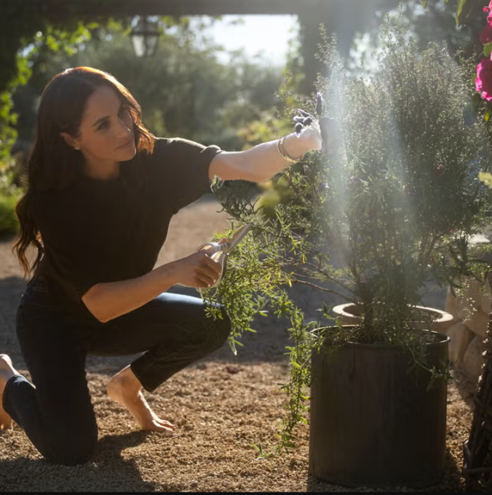 image_editor_output_image58069961-1774471025306