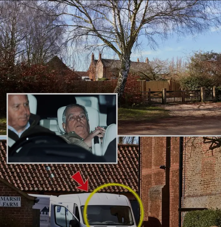 image_editor_output_image659003027-1774089520003