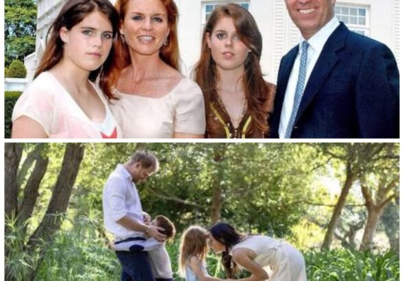 20260413_1158242439342746032345935