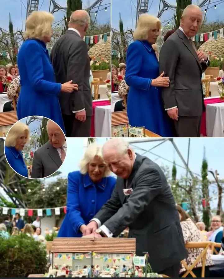 image_editor_output_image-1816597195-1777533771663