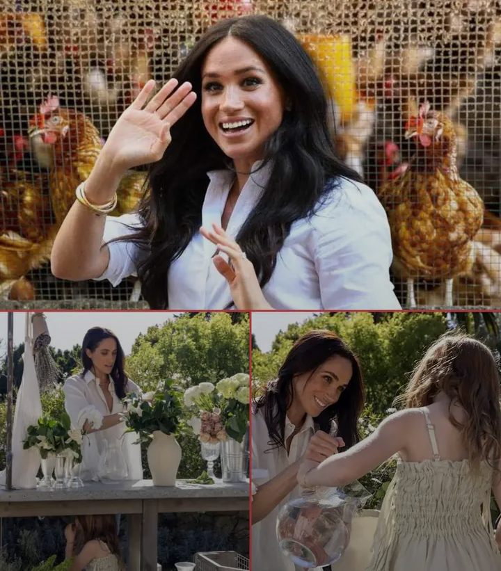 image_editor_output_image-1839258412-1775459114415