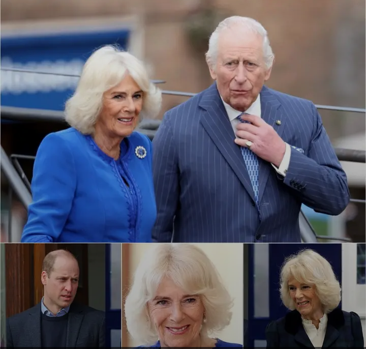 image_editor_output_image-1842832020-1775124379932