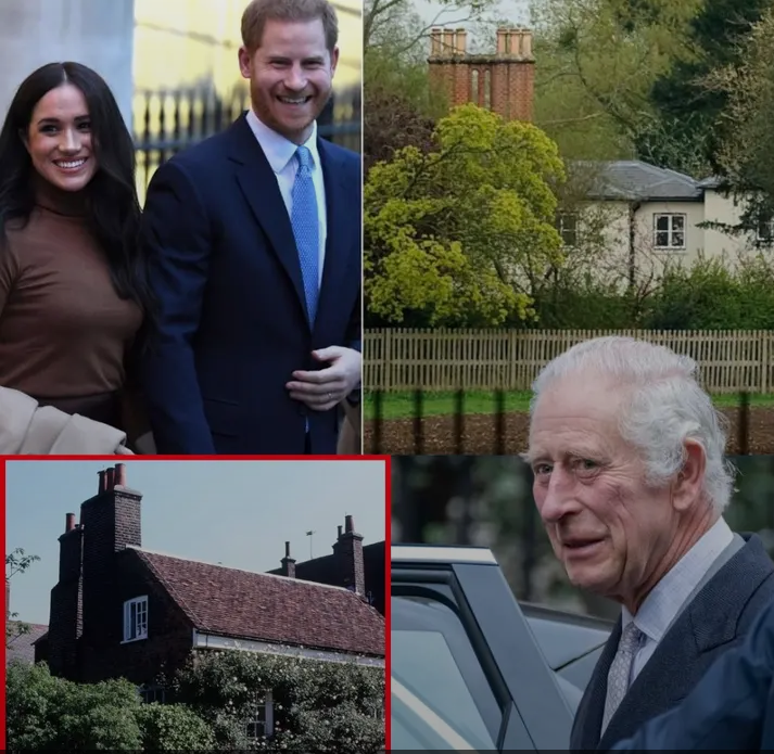 image_editor_output_image-1869049911-1775555376306