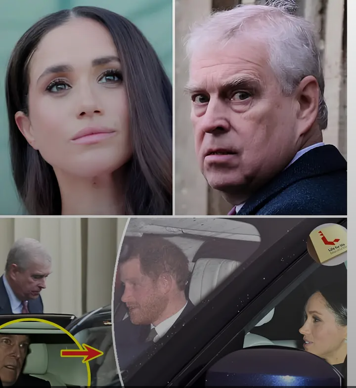 image_editor_output_image-602535325-1775573711083