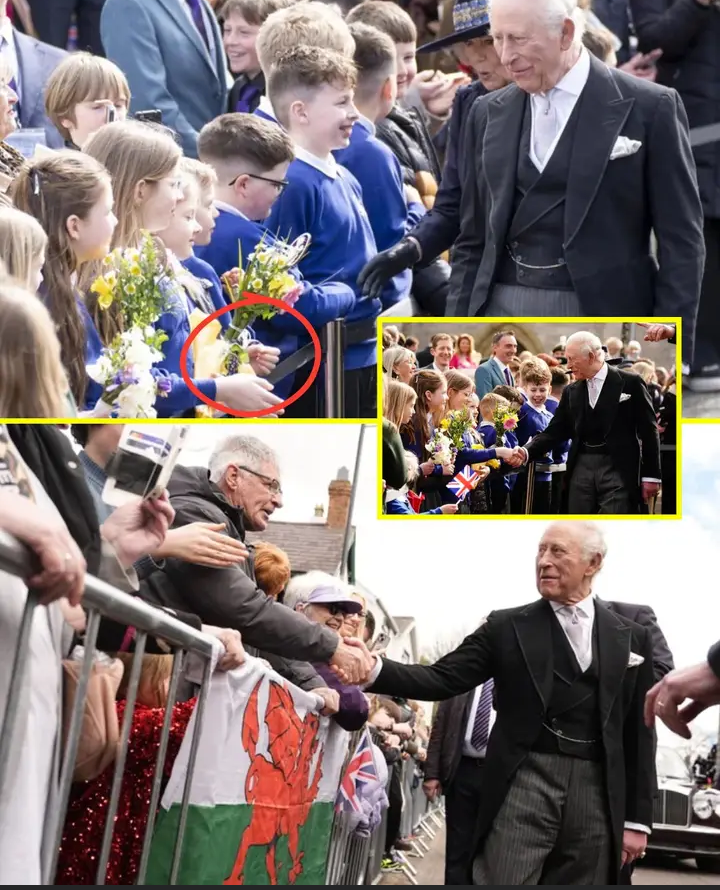 image_editor_output_image-693231189-1775234482193