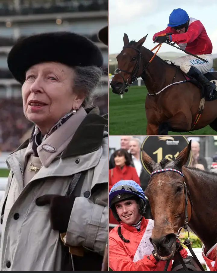 image_editor_output_image1453396983-1776020194133