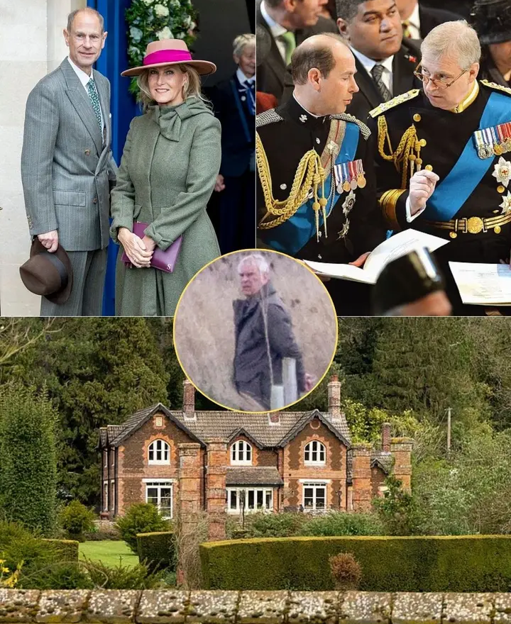 image_editor_output_image154495599-1775849298295