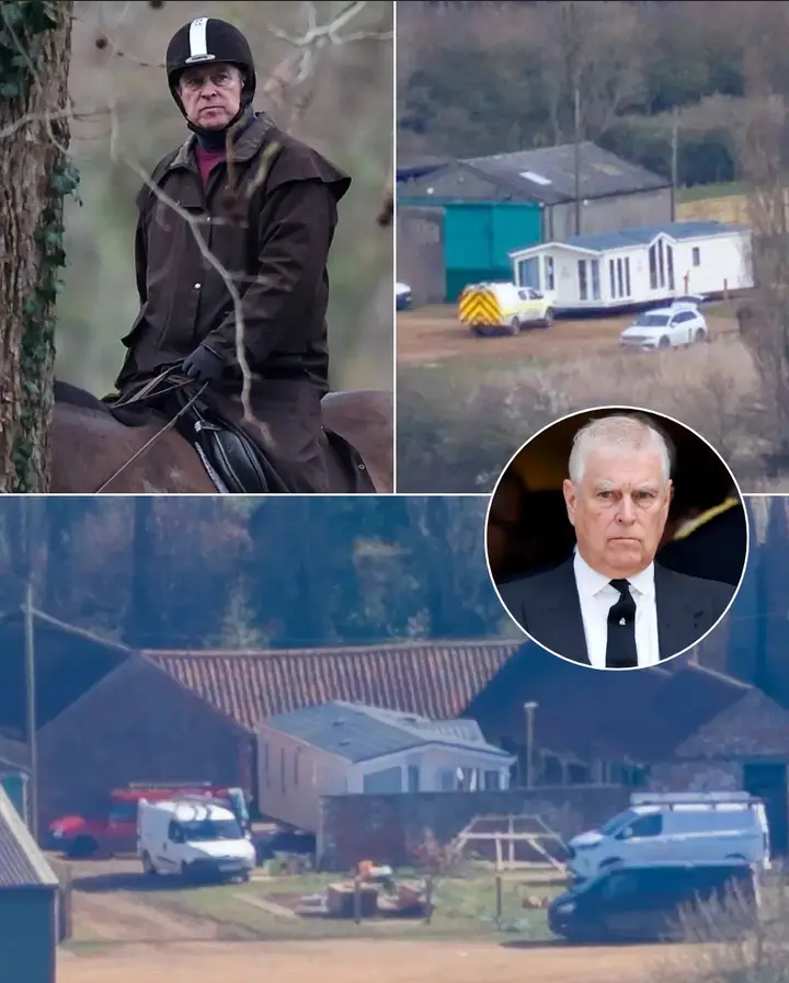 image_editor_output_image1595744101-1775310194403