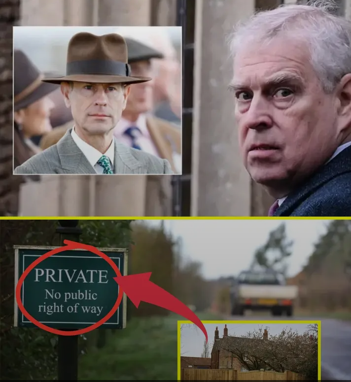 image_editor_output_image1606675907-1775339229546