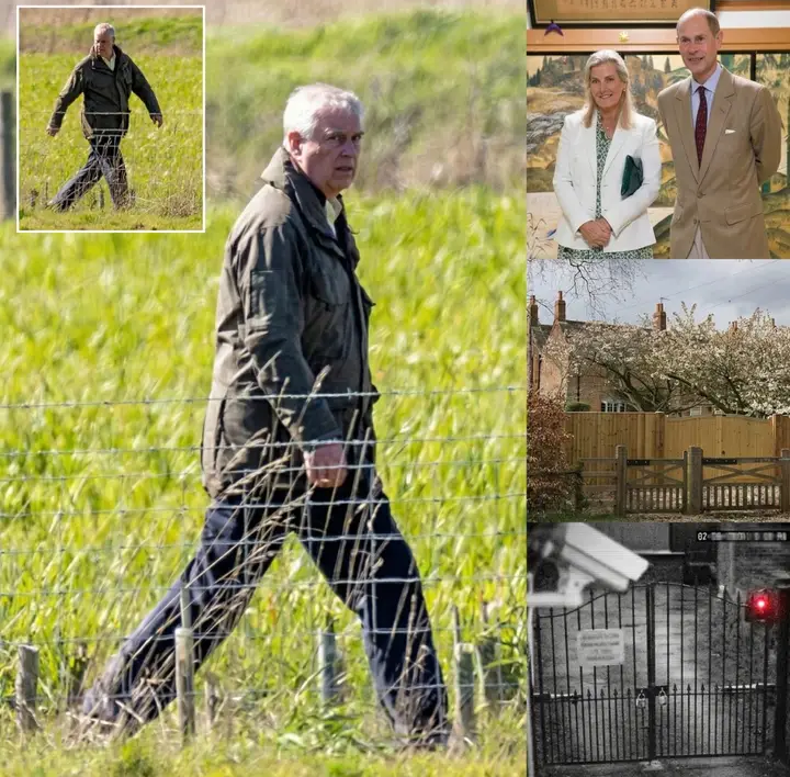 image_editor_output_image1899096683-1775751866156