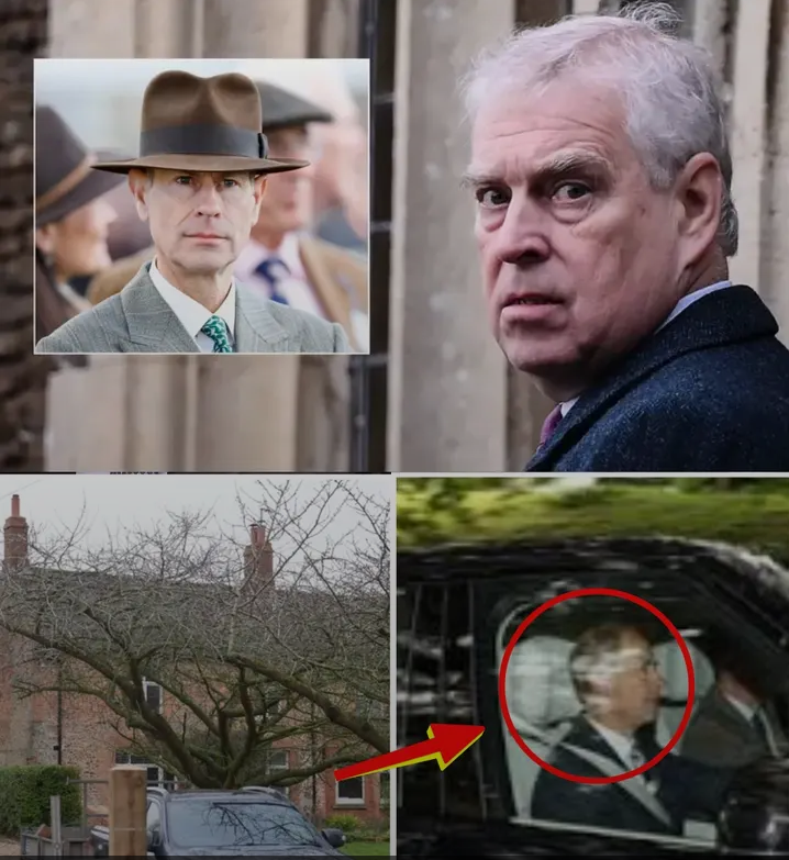 image_editor_output_image1903063503-1775491219765