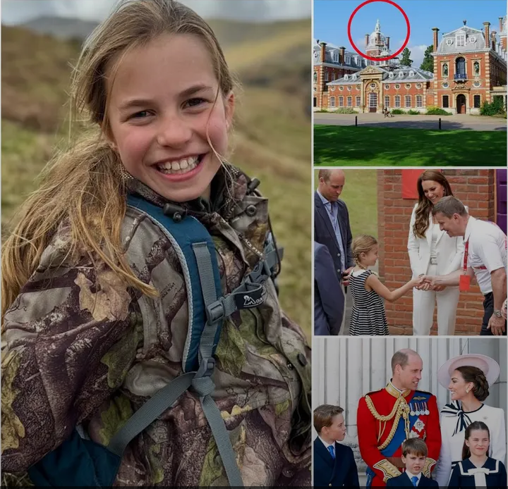 image_editor_output_image1921924936-1775054475452