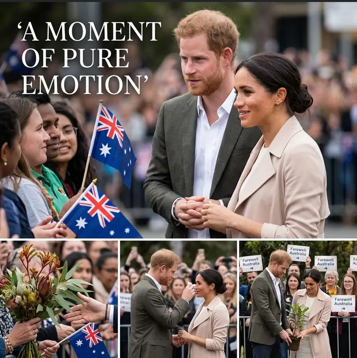 image_editor_output_image1956819154-1776514348035