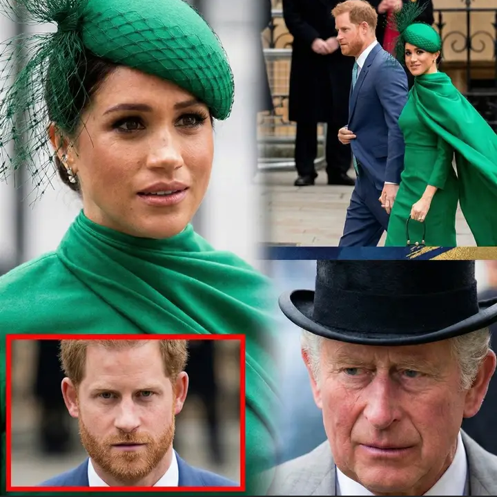 image_editor_output_image203865240-1775722606770