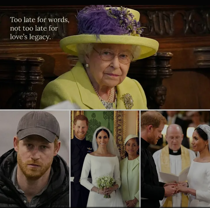 image_editor_output_image505760217-1775499466272