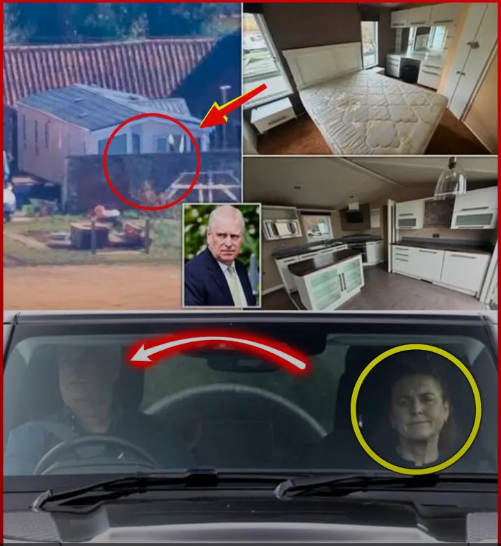 image_editor_output_image670067188-1775059281763