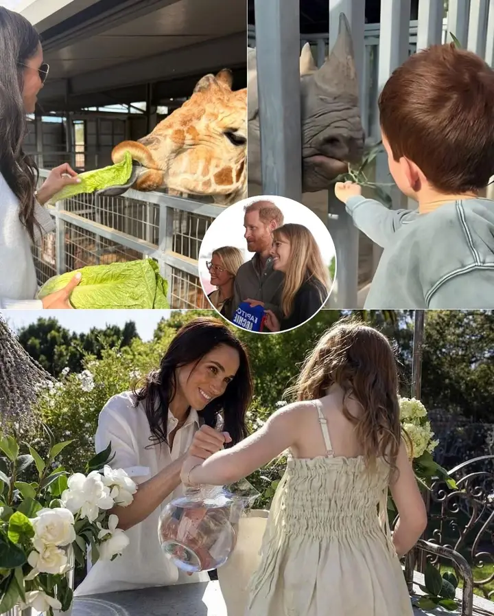 image_editor_output_image985217398-1776674616624