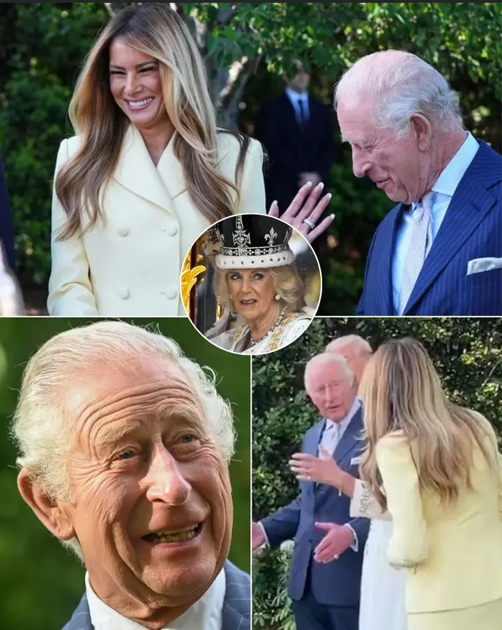 image_editor_output_image999433388-1777466986681