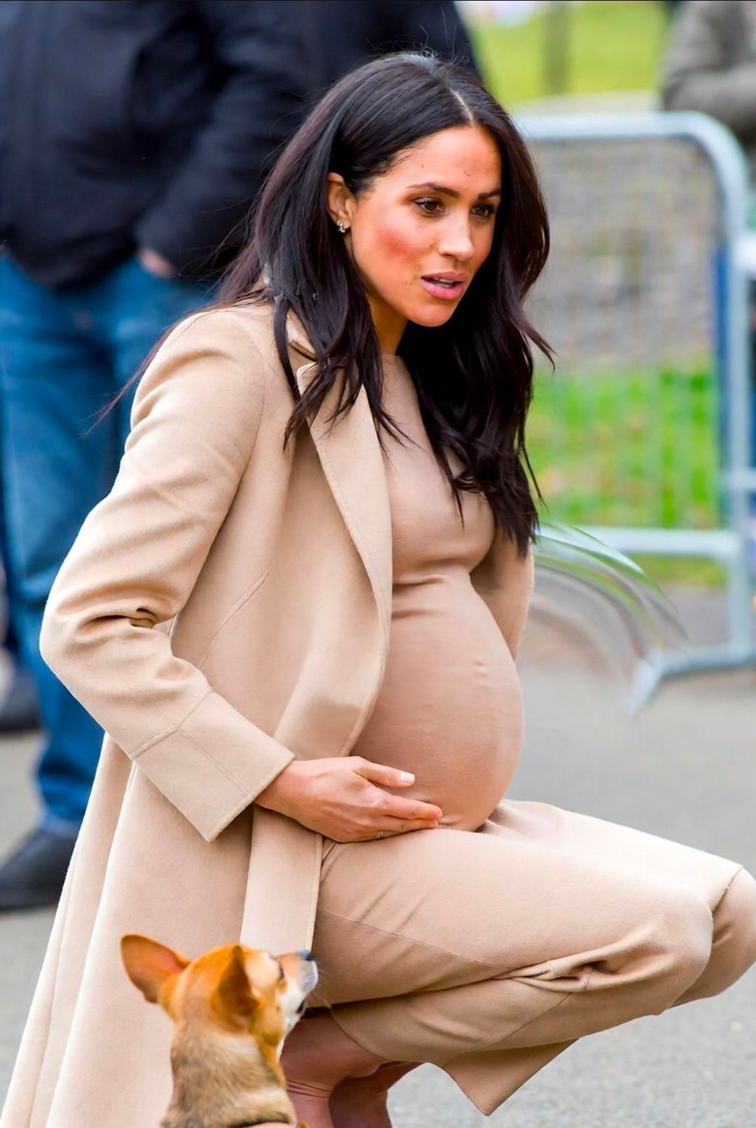 screenshot_20260415_023457_grok9188180918671102455